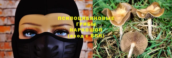 твердый Алзамай