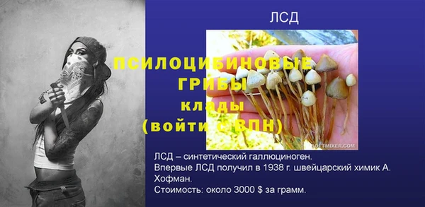 эйфоретик Алексин