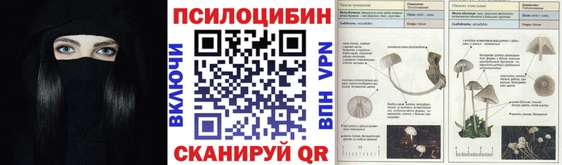где продают наркотики  Вышний Волочёк  Псилоцибиновые грибы мухоморы 